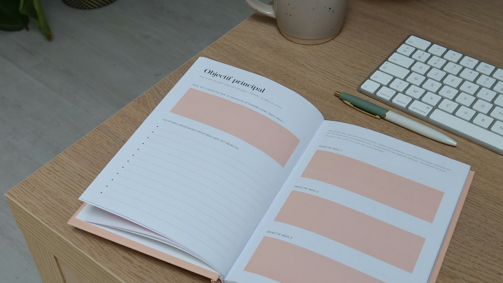 Wide view of an open planner, a mug, and a pen on a light wooden desk by a window with a plant