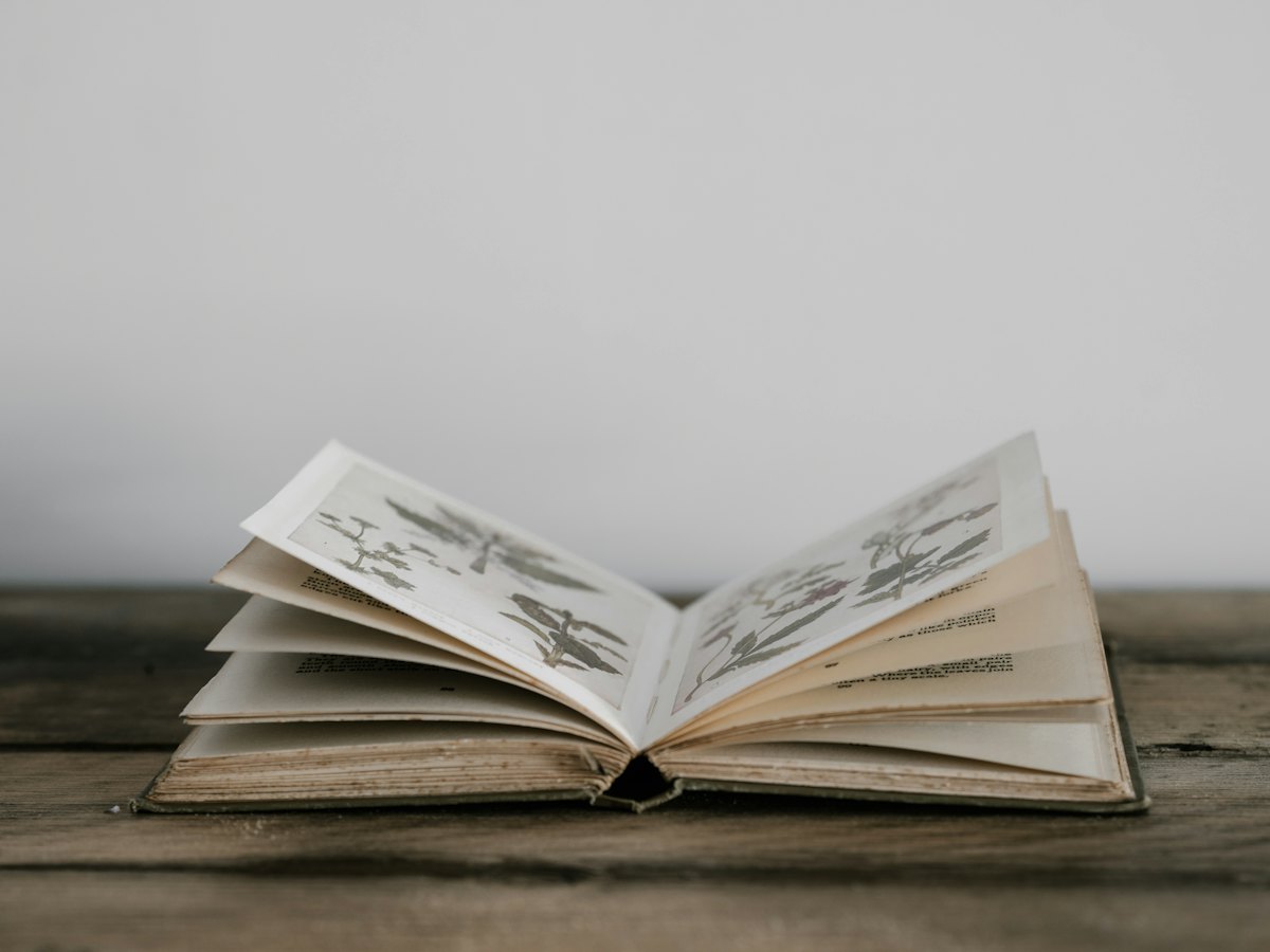 An open illustrated book resting on a wooden table